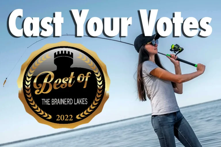 Cast Your Vote