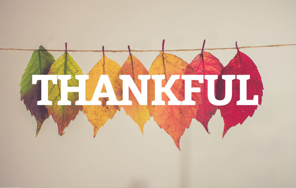 Happy Thanksgiving to your and yours from Northstar Family Medicine in Baxter, MN.
