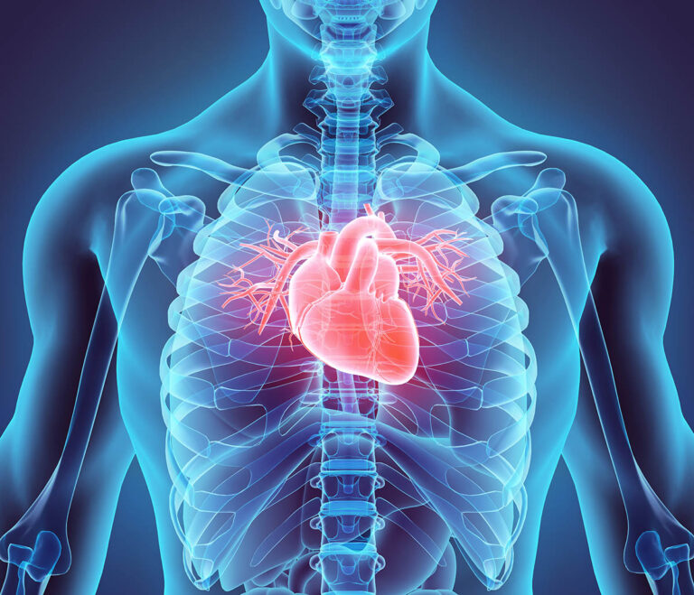 Heart Awareness Month at North Star Family Medicine in Brainerd, MN