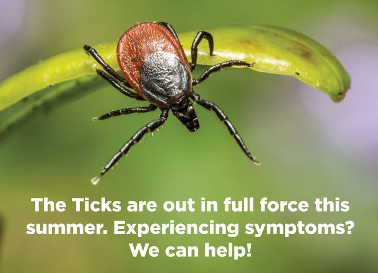 Tick Treatment Minnesota