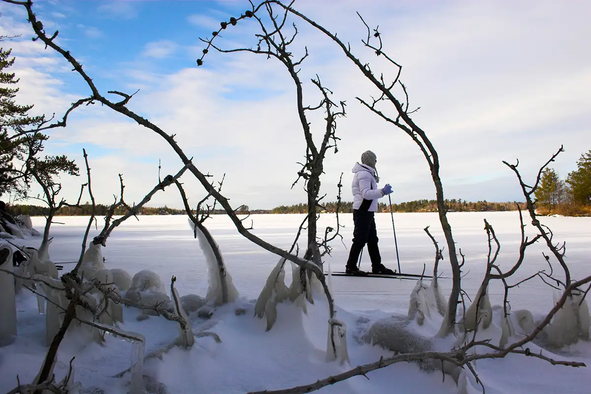 Winter Wellness Wins