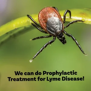 It's Tick Season